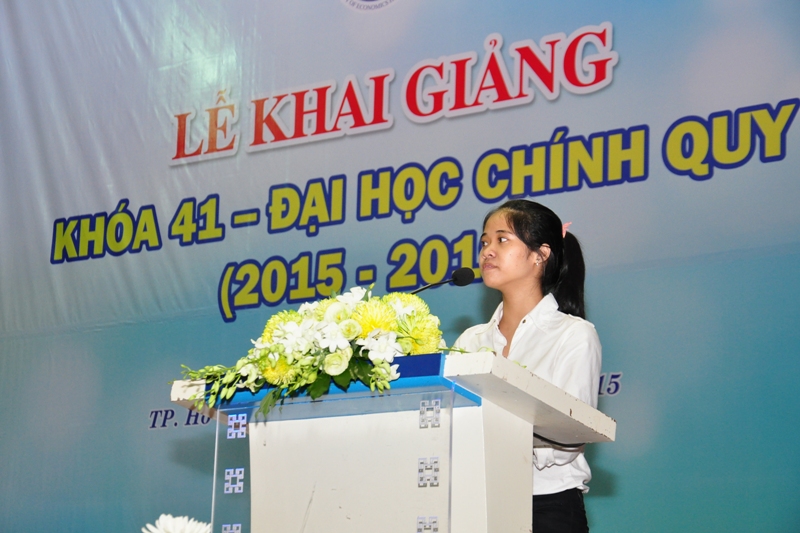 cá cược thể thao hul city